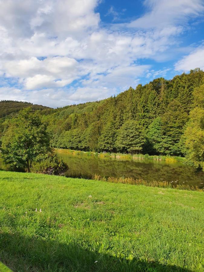 Ferienapartment Resi Willingen  Bagian luar foto